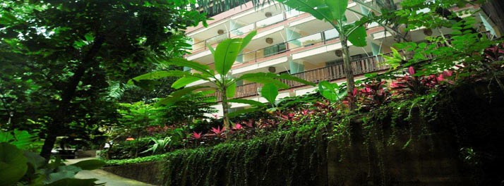 Jungle Retreat Hotel by Kupu Kupu - Ubud 01.jpg